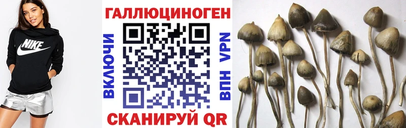 Галлюциногенные грибы прущие грибы  Орлов 